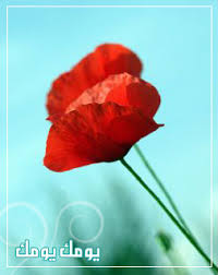 صورة يومك يومُك أيها الإنسانُ